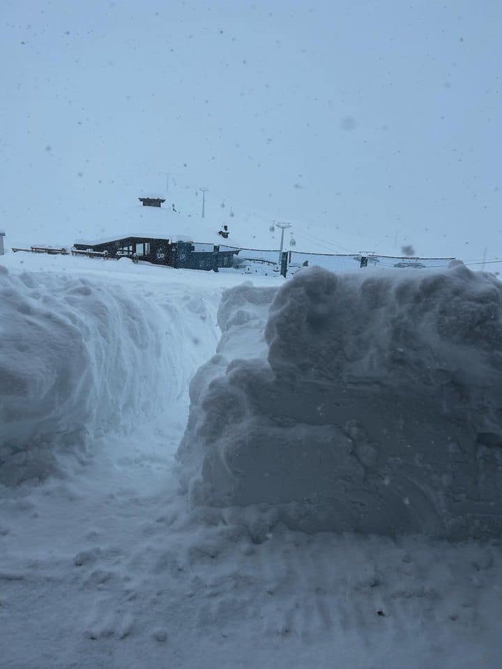 neve cervinia