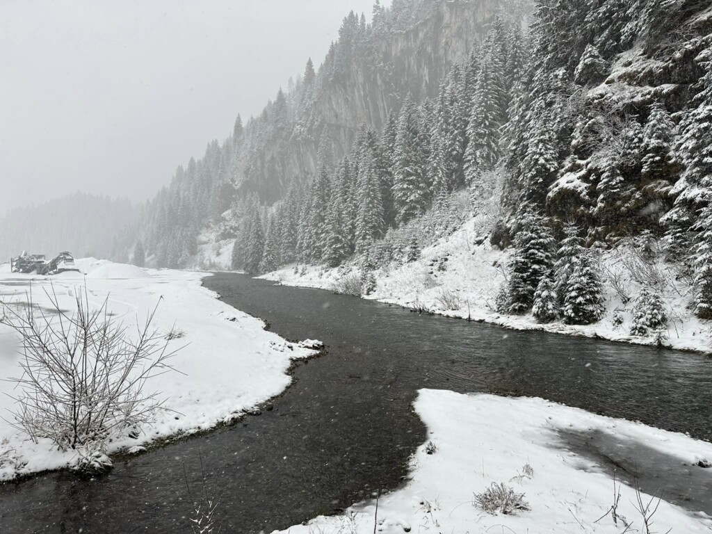 neve svizzera