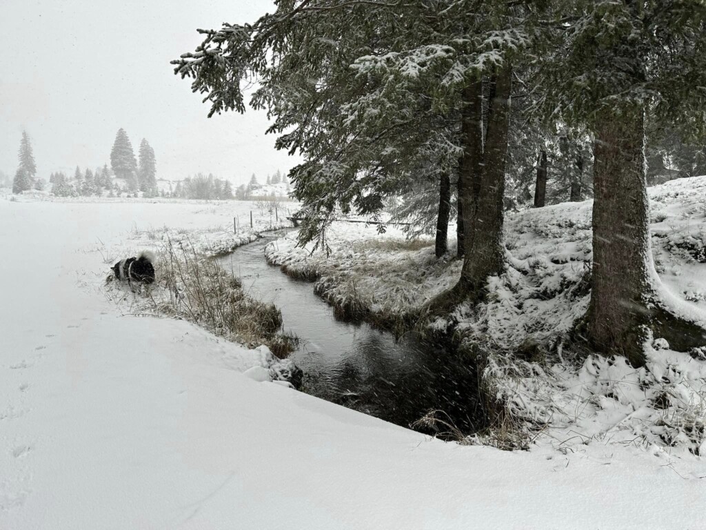 neve svizzera