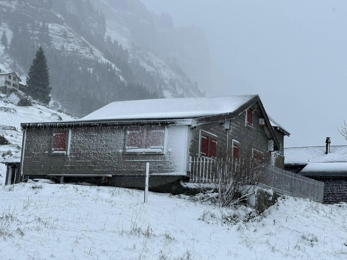 neve svizzera