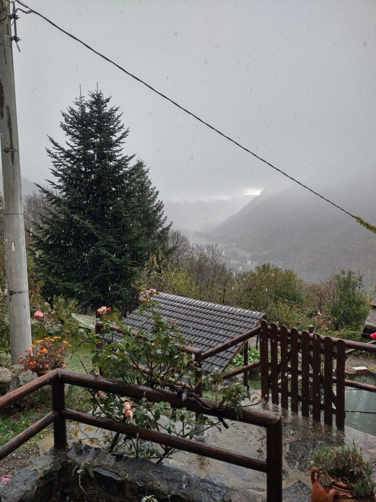 oggi neve alpi