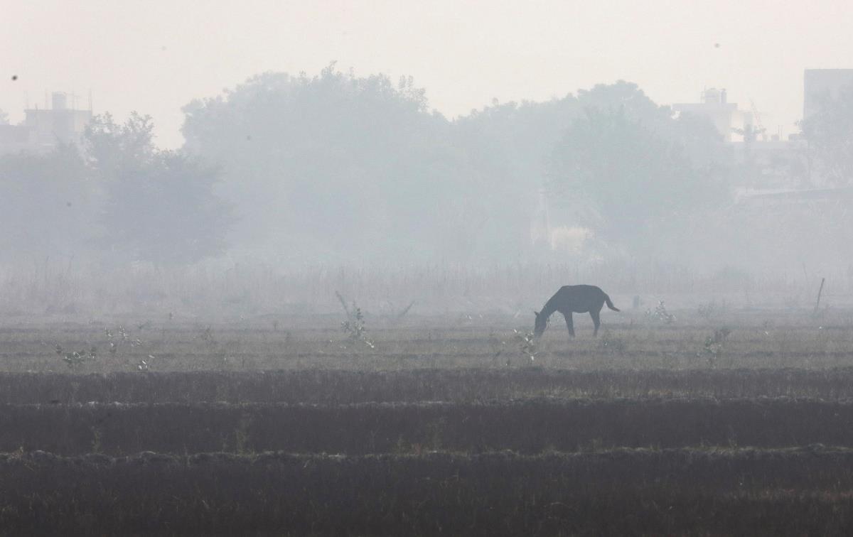 qualità aria delhi smog india