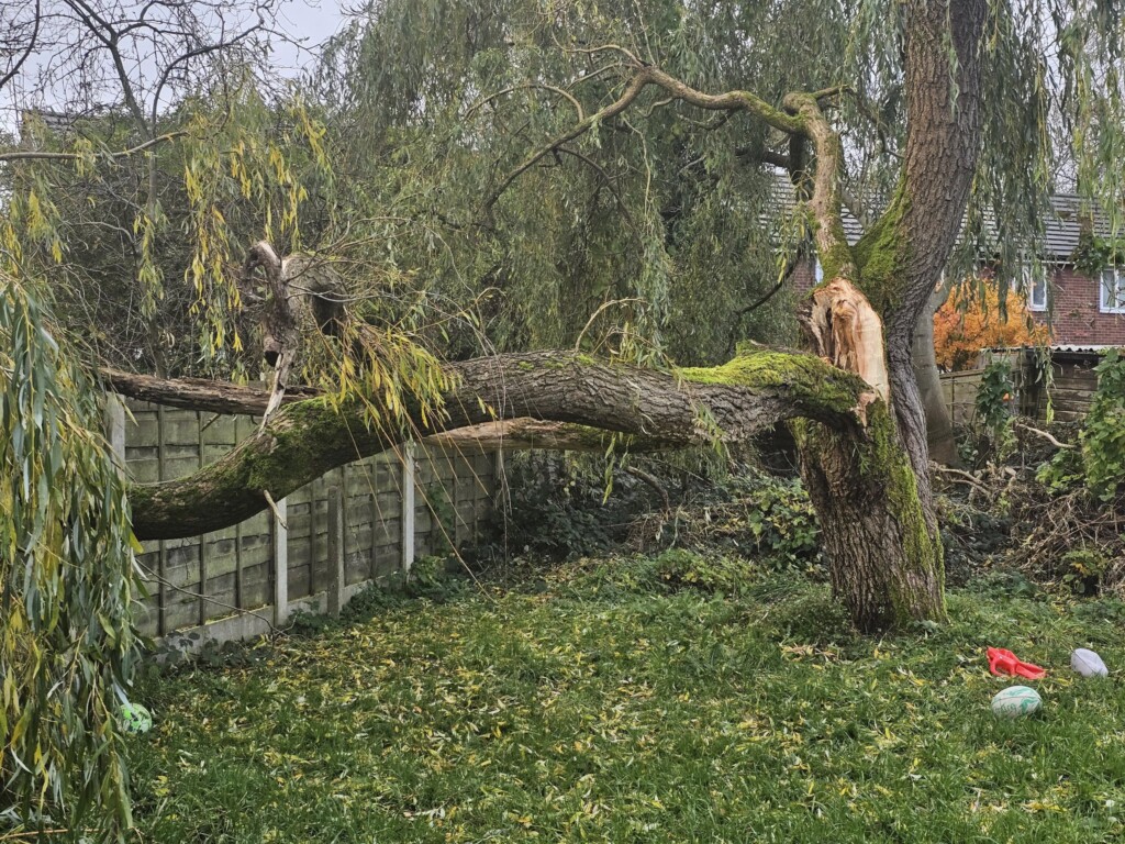 tempesta debi regno unito