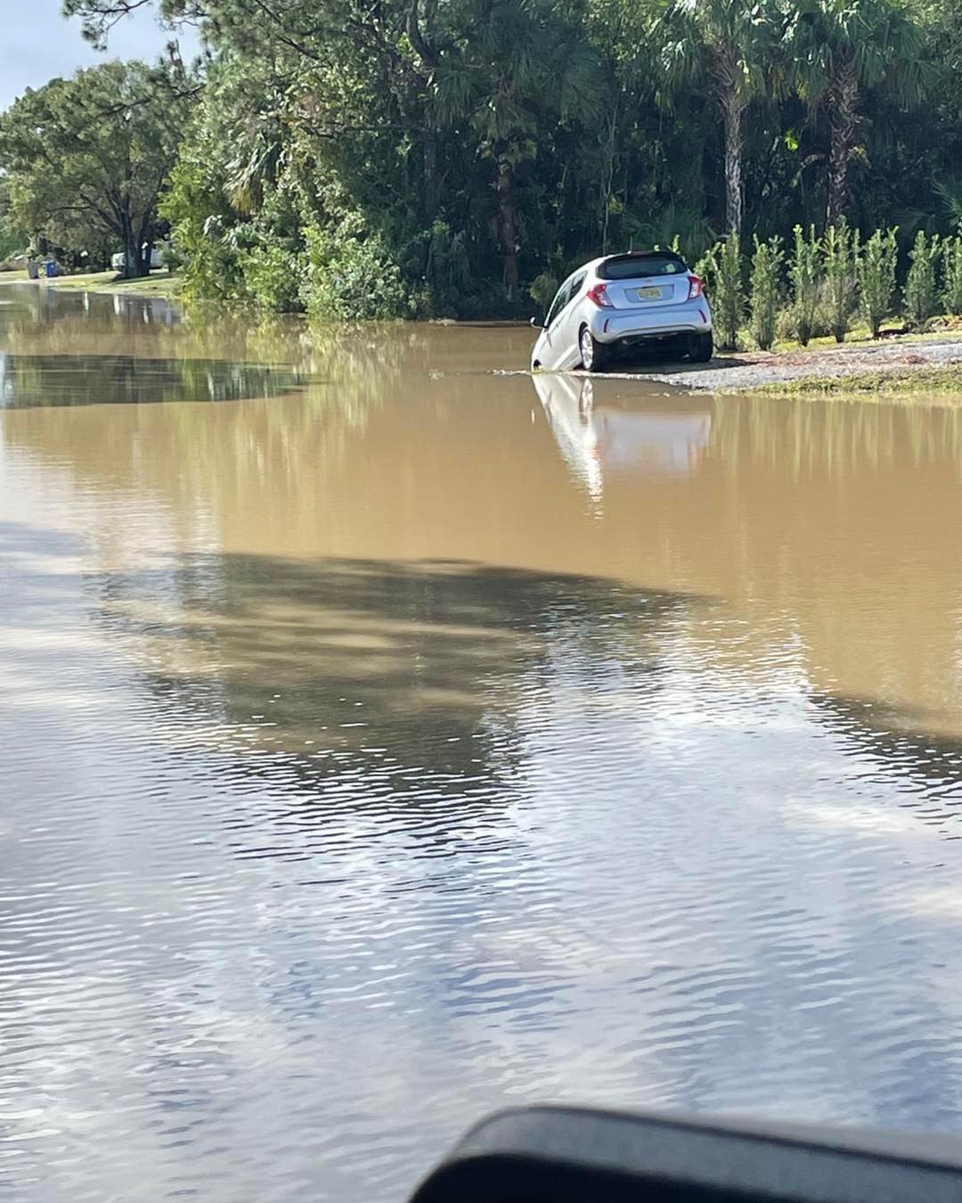 tempesta florida