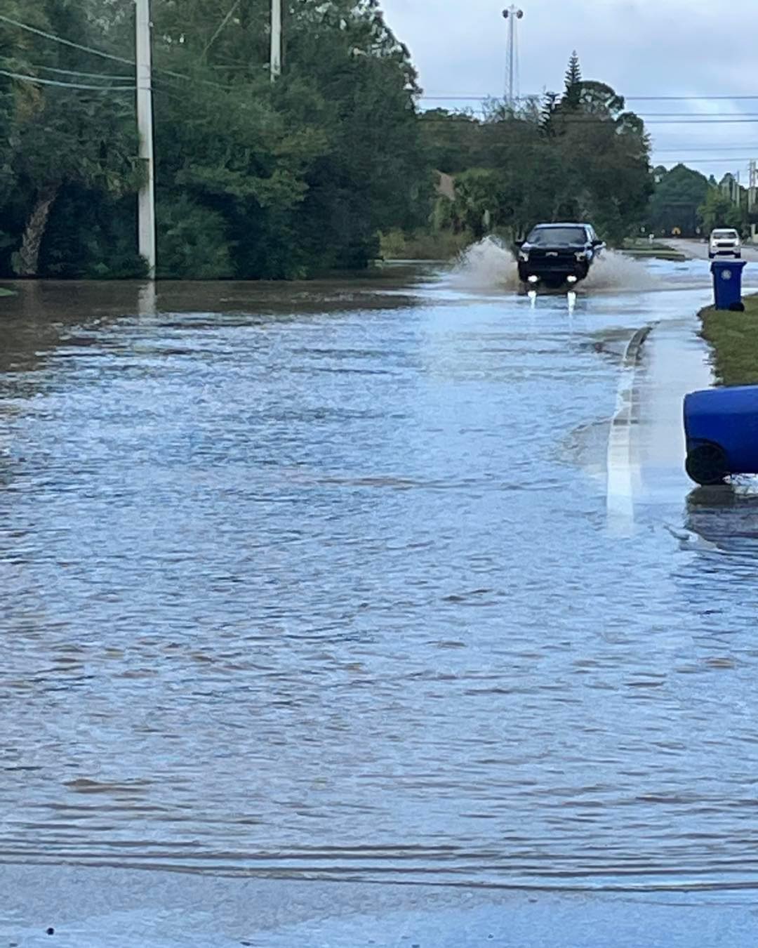 tempesta florida