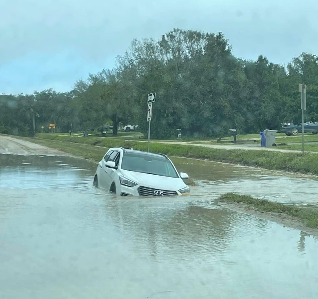 tempesta florida