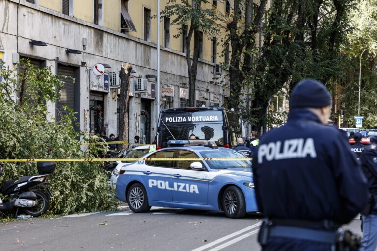 vento roma albero caduto