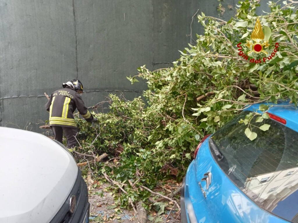 vento vigili fuoco albero