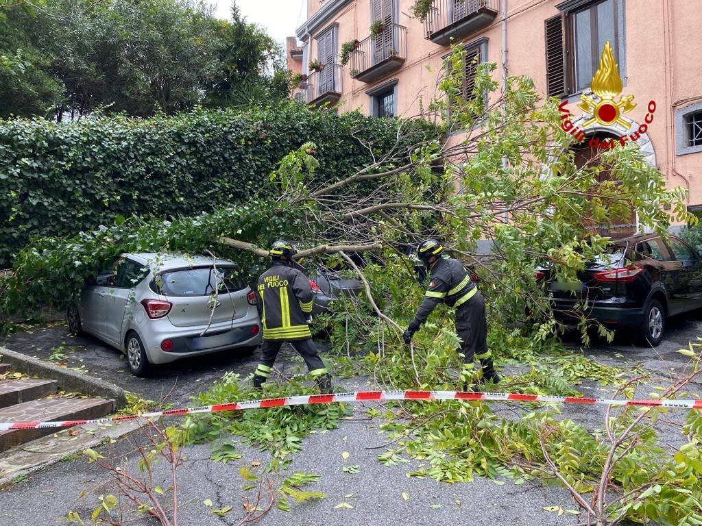 vento vigili fuoco albero