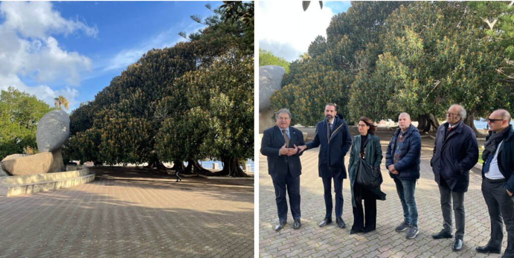 alberi monumentali messina