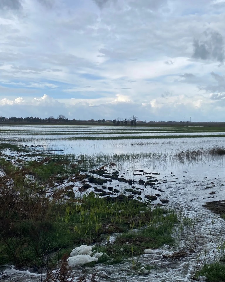 esondazione lago patria