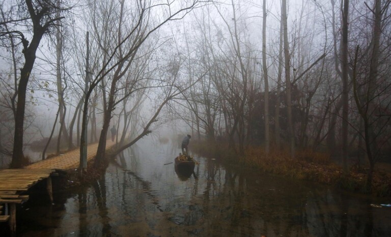 nebbia new delhi india