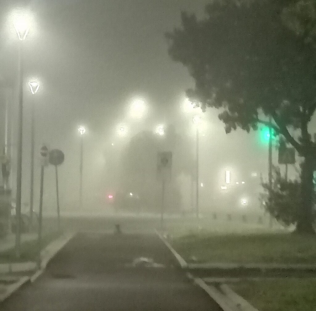 nebbia pisa