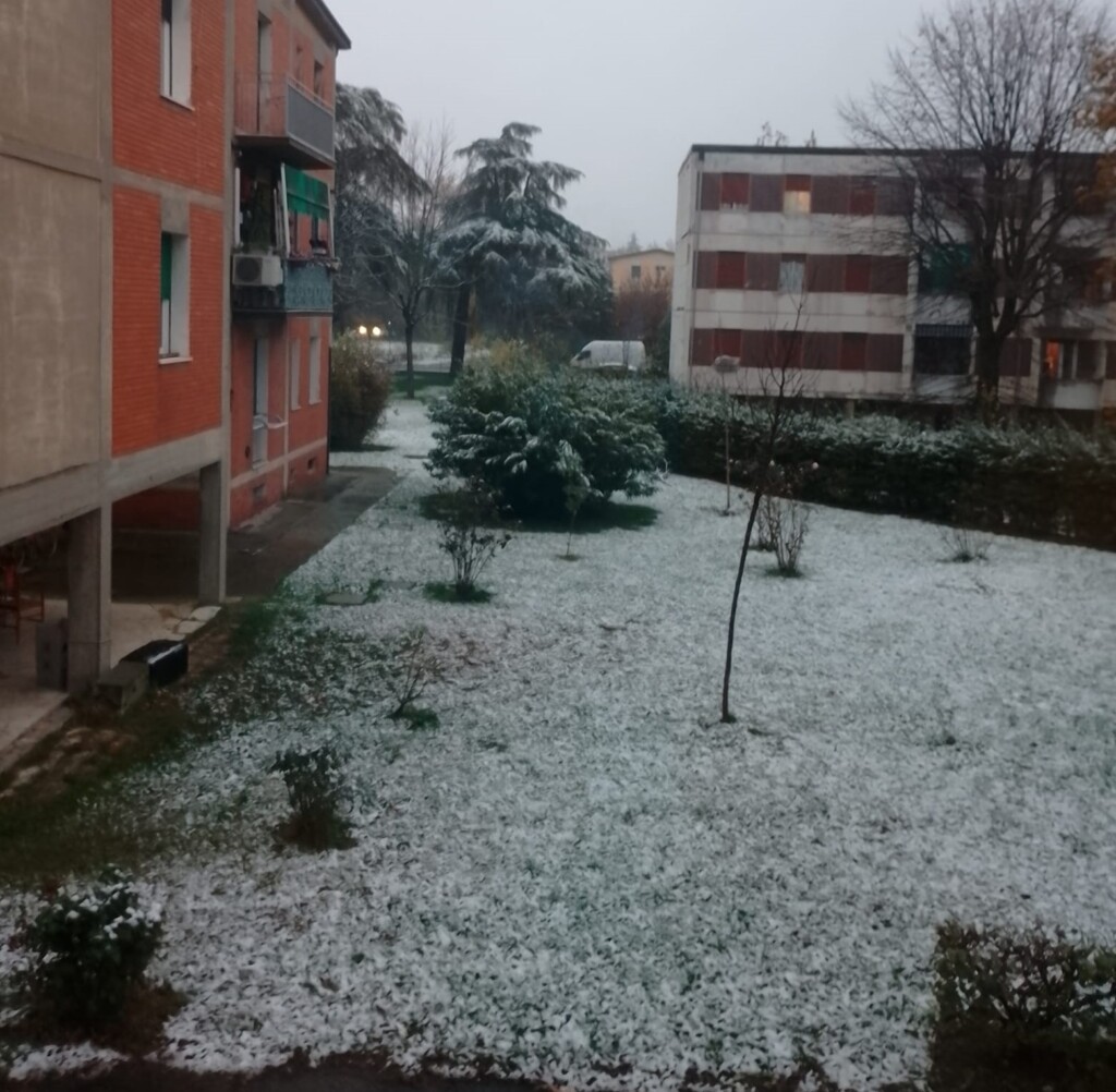 neve bologna 5 dicembre