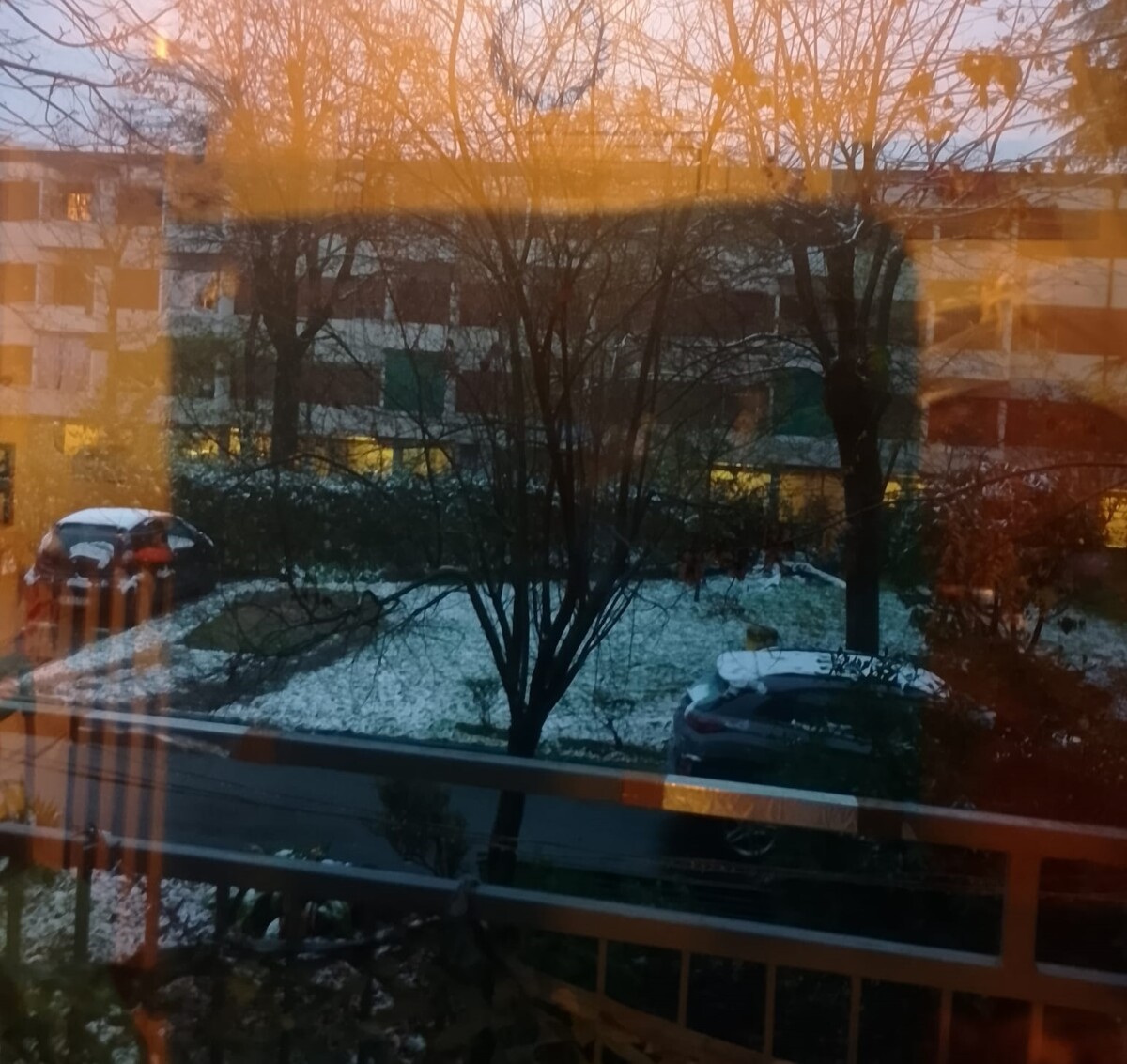 neve bologna 5 dicembre