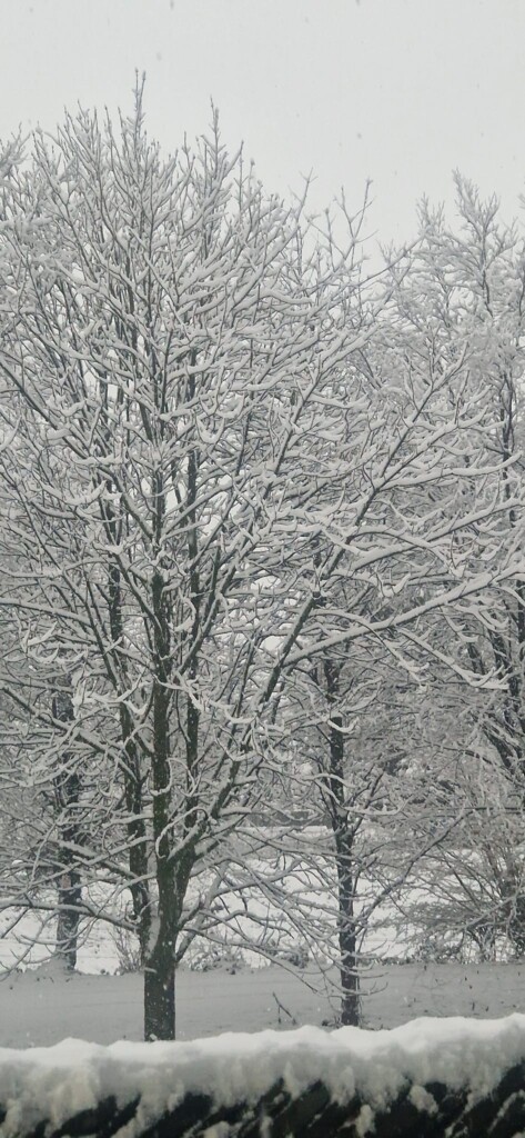 neve cumbria inghilterra