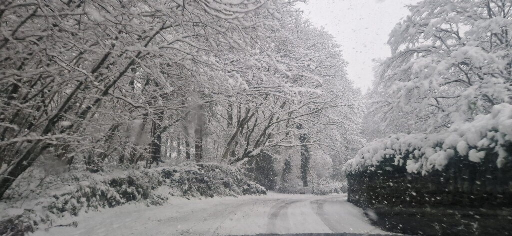 neve cumbria inghilterra