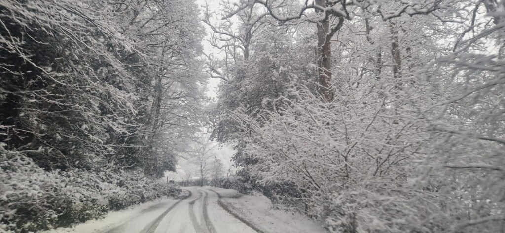 neve cumbria inghilterra