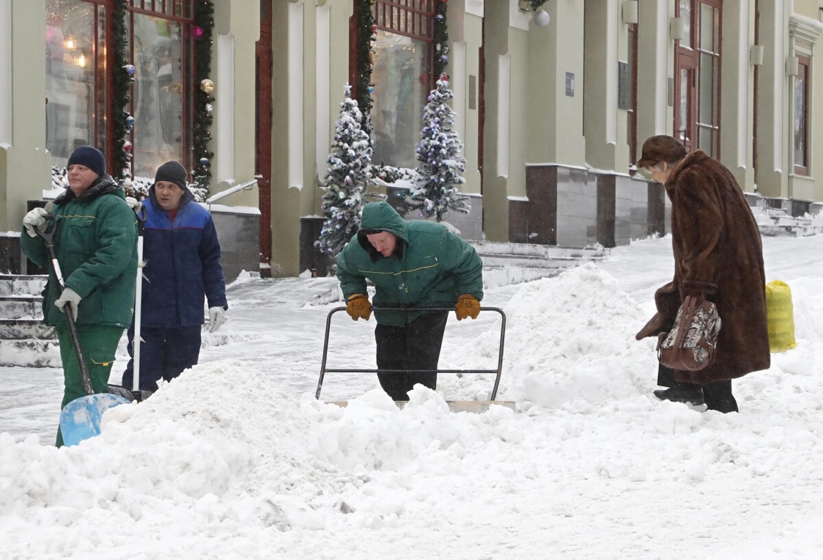 neve mosca