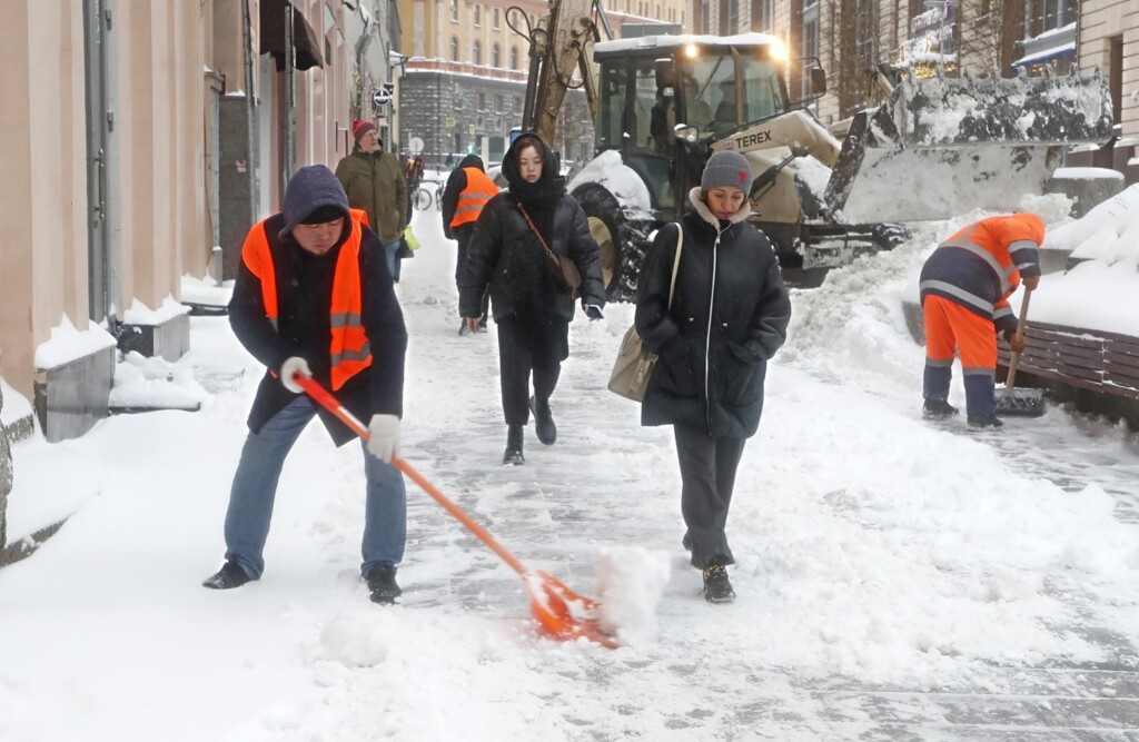 neve mosca