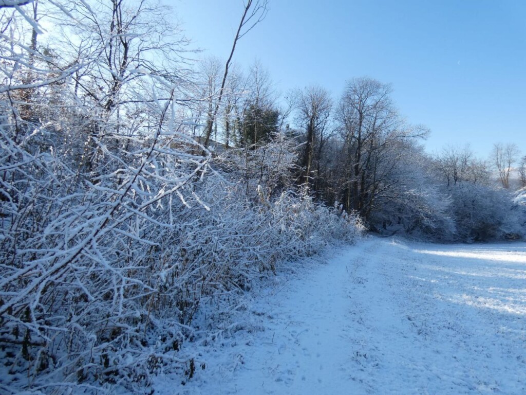 neve piemonte