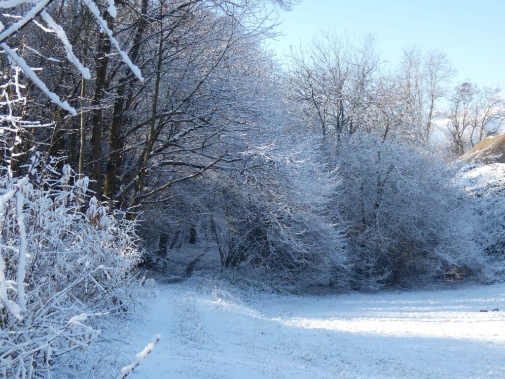 neve piemonte