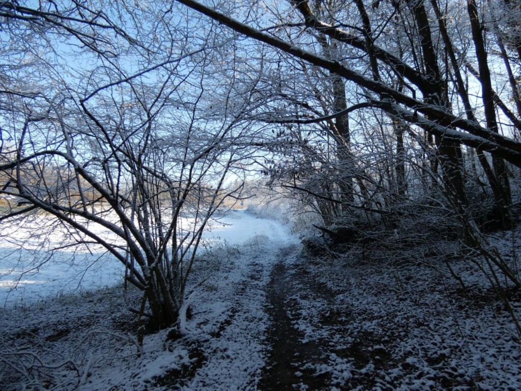 neve piemonte