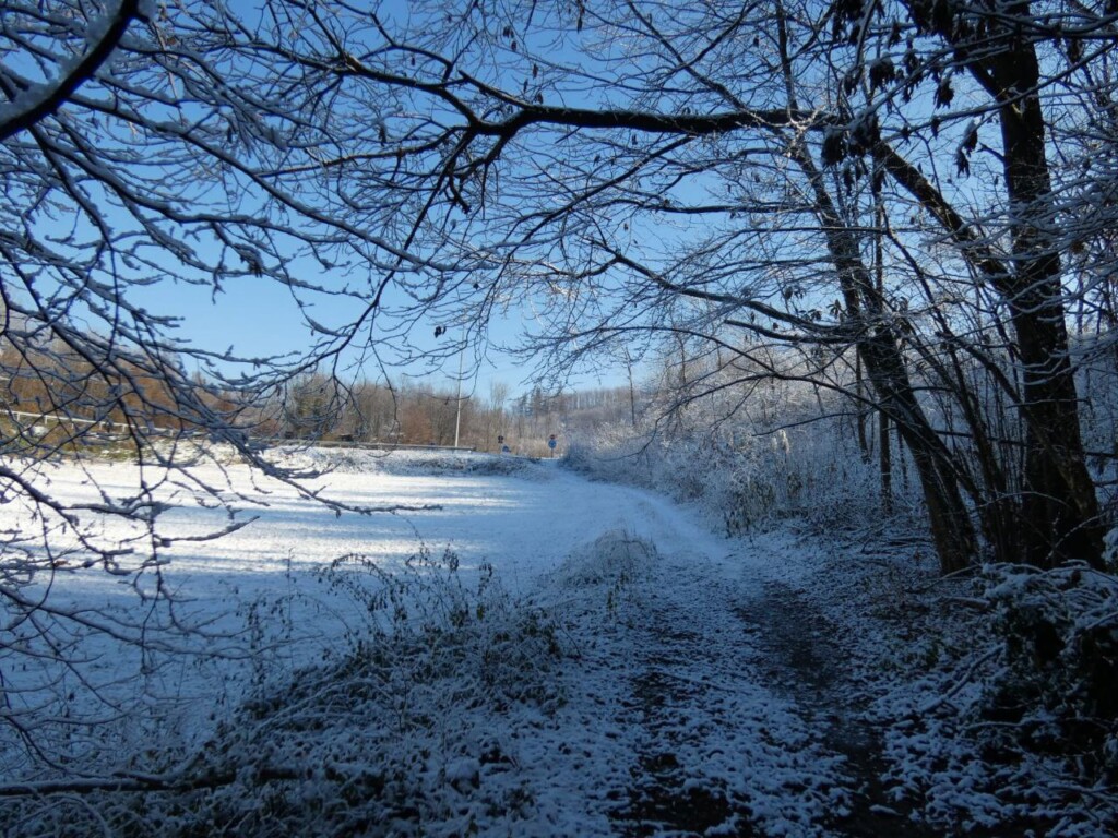 neve piemonte