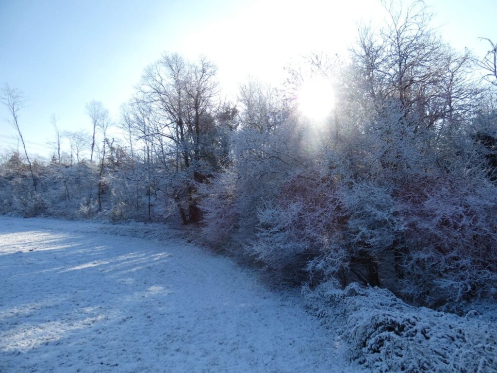 neve piemonte