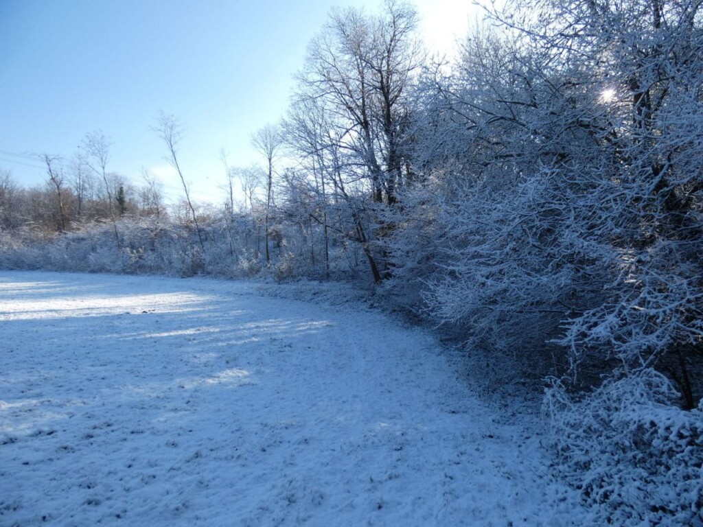 neve piemonte