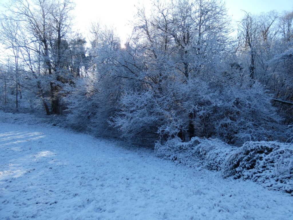 neve piemonte