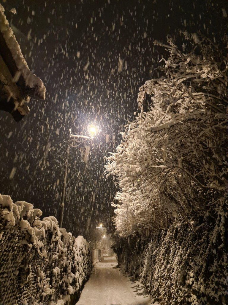 neve piemonte