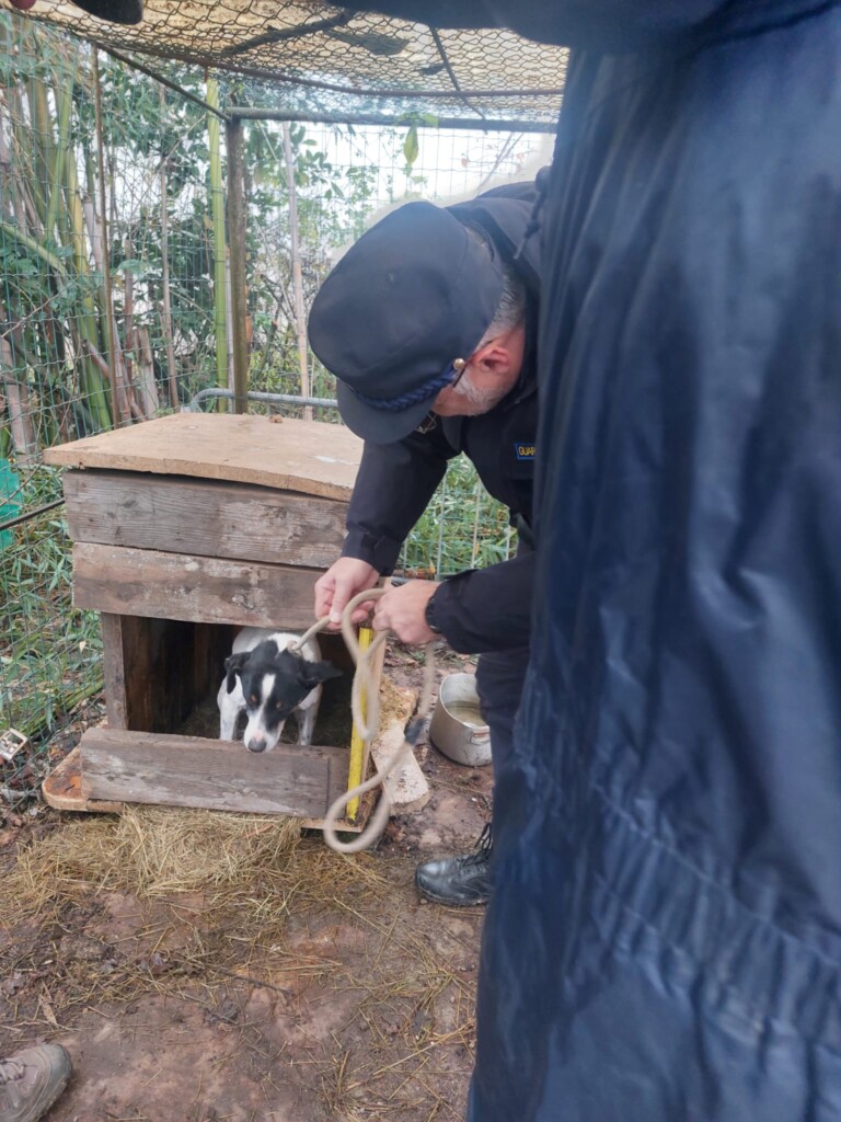 San Zenone (Milano): animali tenuti in pessime condizioni, il sequestro