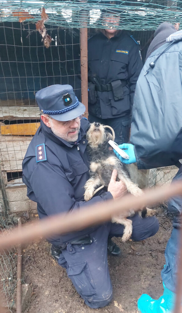 San Zenone (Milano): animali tenuti in pessime condizioni, il sequestro