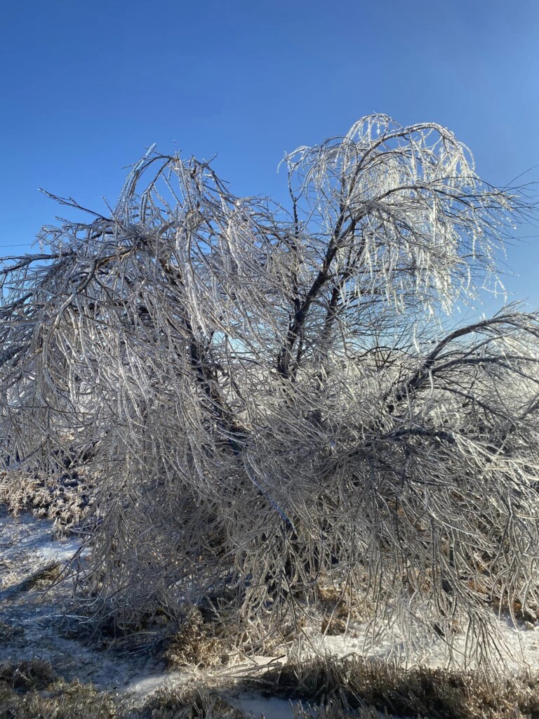 tempesta di ghiaccio north dakota