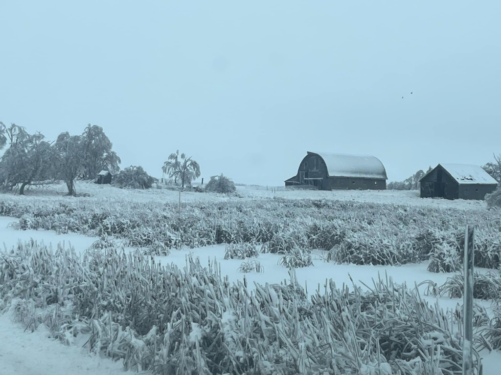 tempesta di ghiaccio north dakota