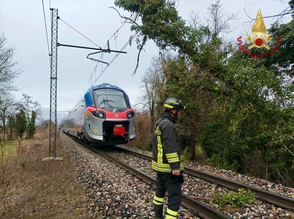 albero vento treno