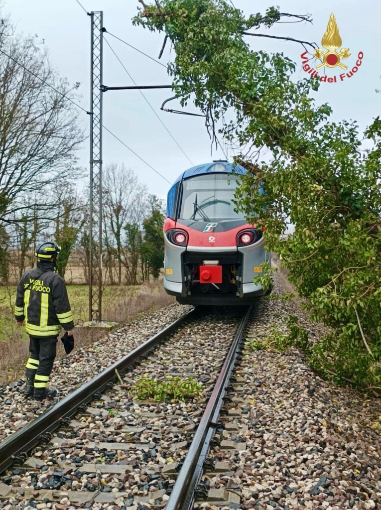 albero vento treno