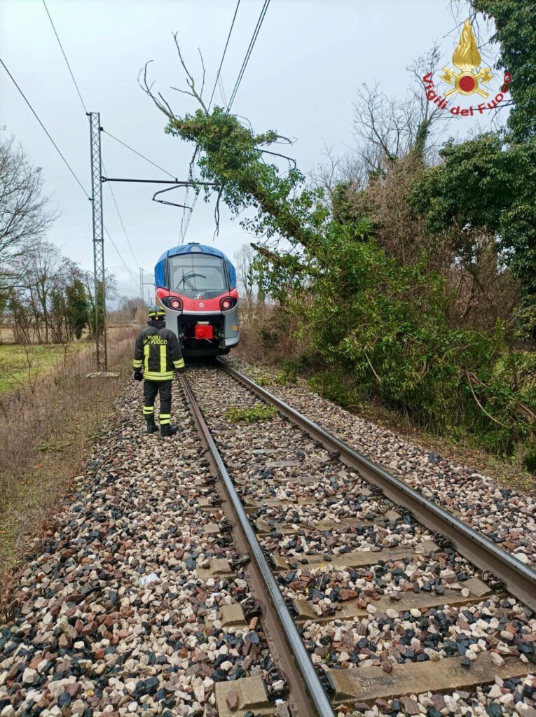 albero vento treno