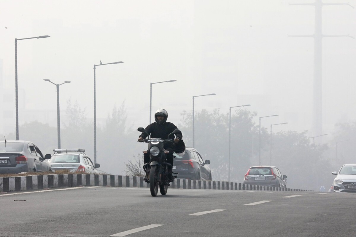 nebbia new delhi