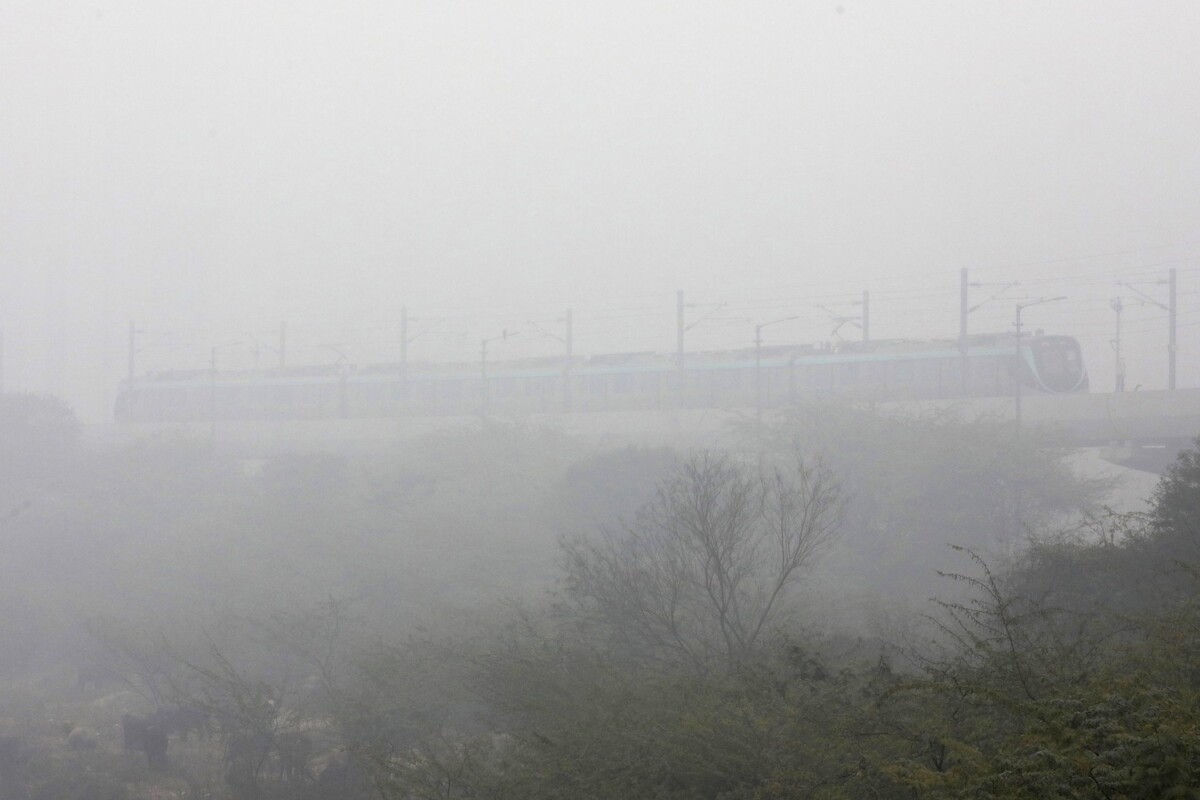 nebbia new delhi