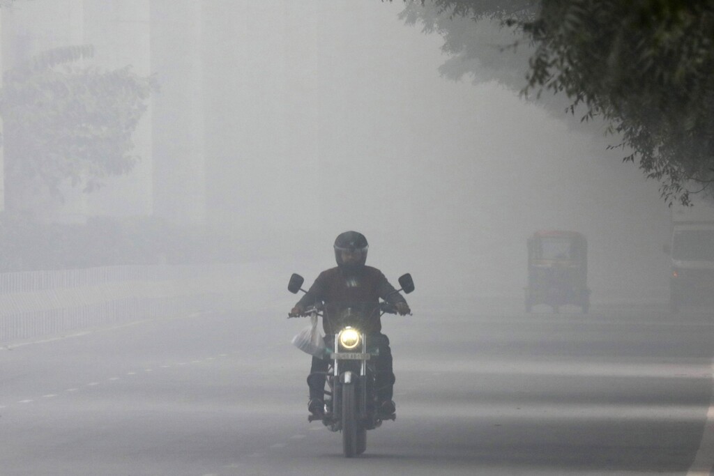 nebbia new delhi