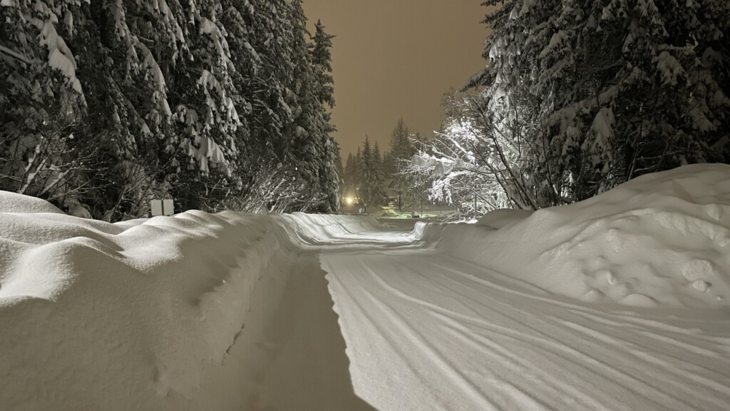 neve alaska juneau