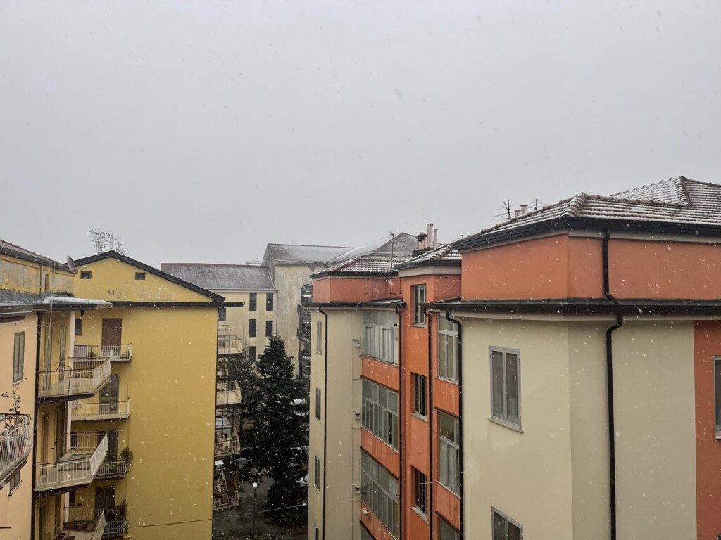 neve avellino