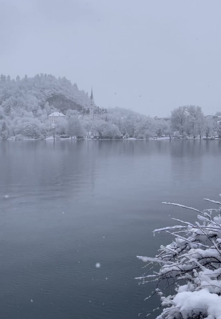 neve bled slovenia