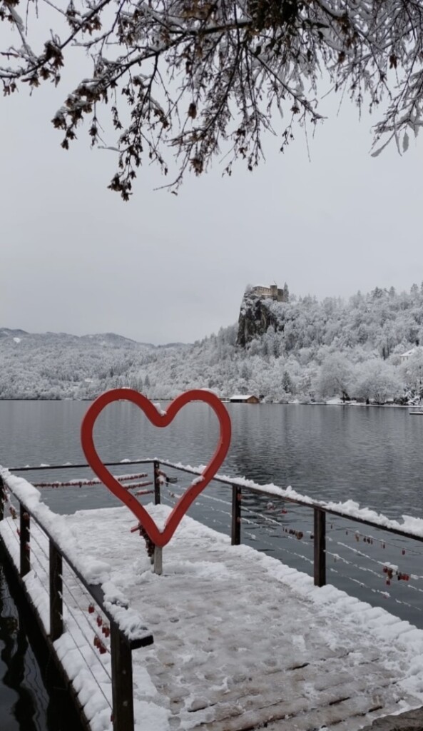 neve bled slovenia