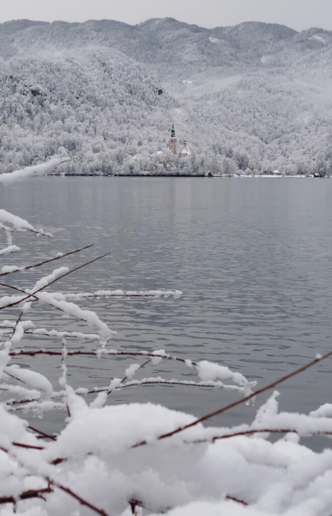 neve bled slovenia