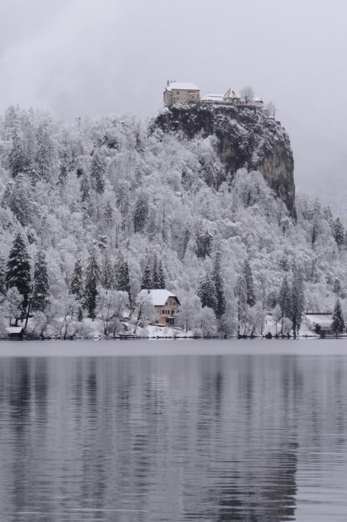 neve bled slovenia