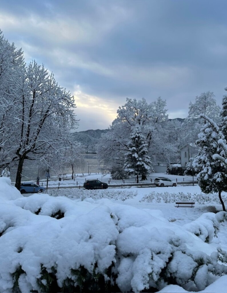 neve bled slovenia