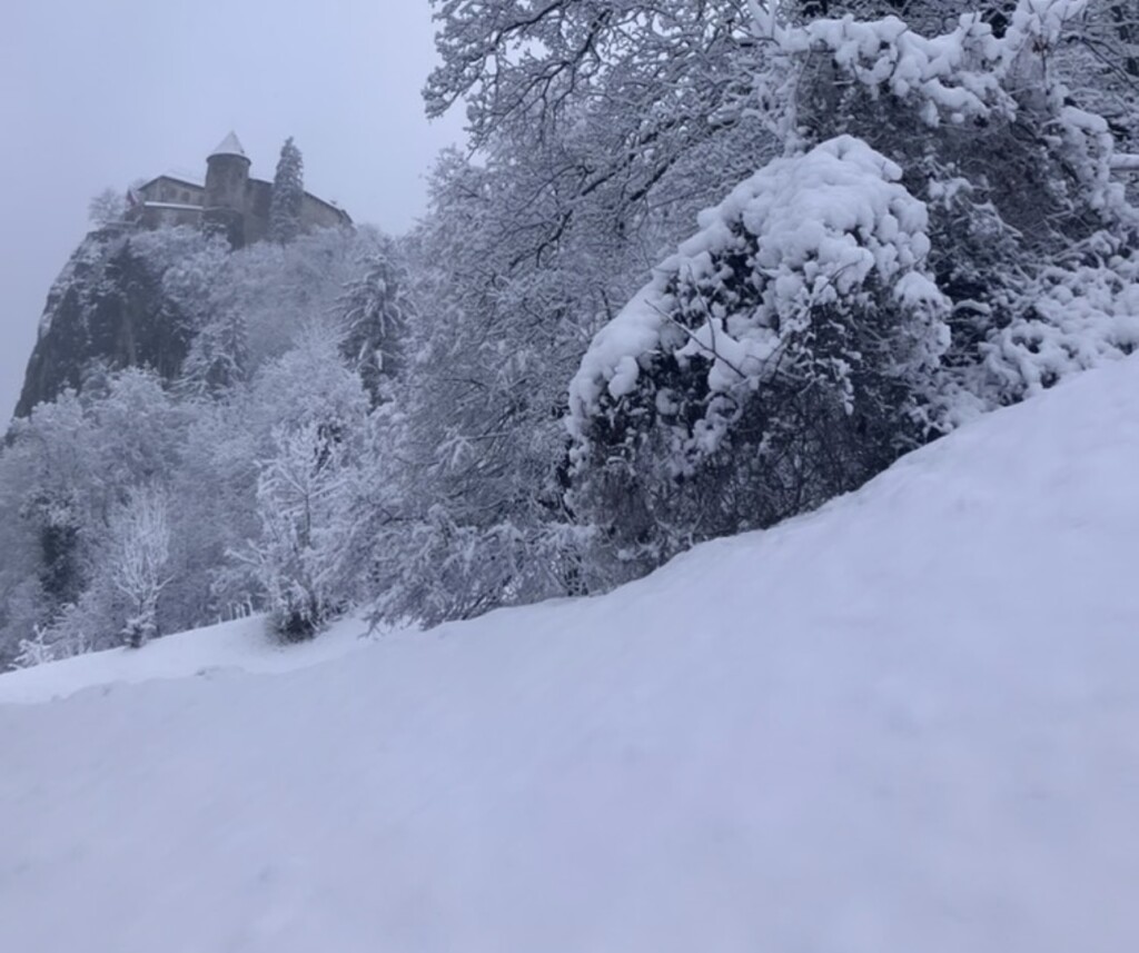 neve bled slovenia